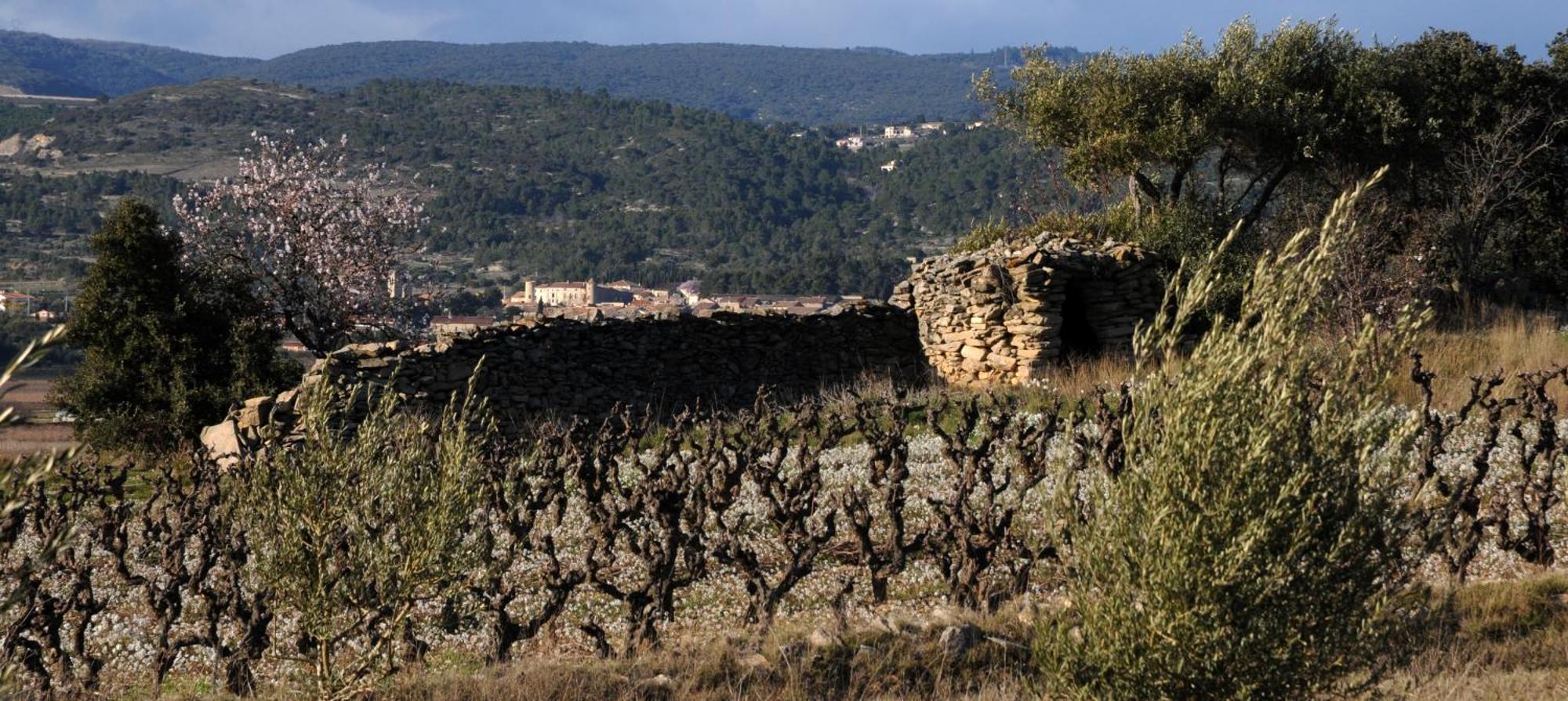 Maison Vigneronne De Bonne Maman - Climatisee Cesseras Exterior foto