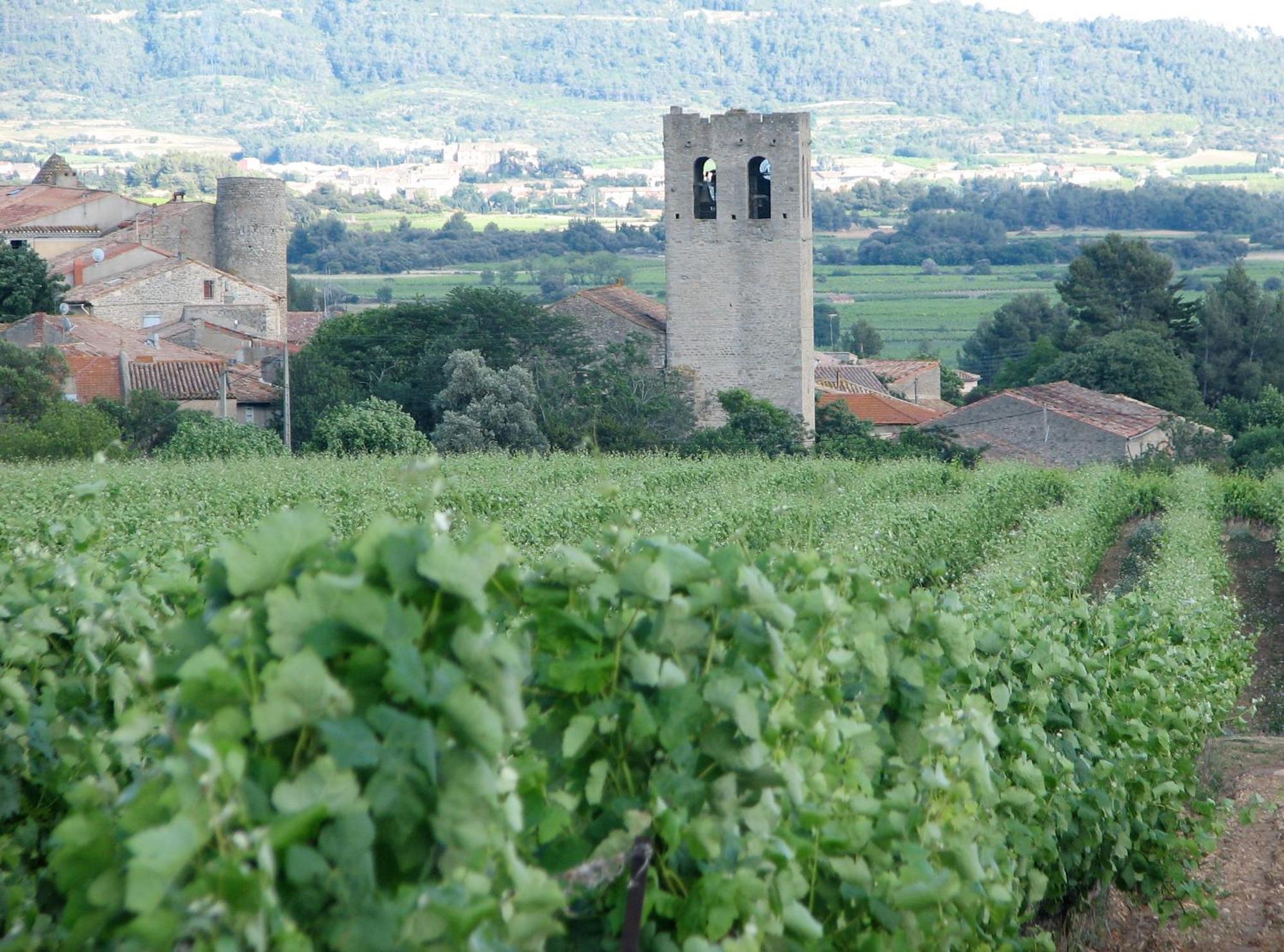 Maison Vigneronne De Bonne Maman - Climatisee Cesseras Exterior foto